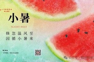 今日小暑